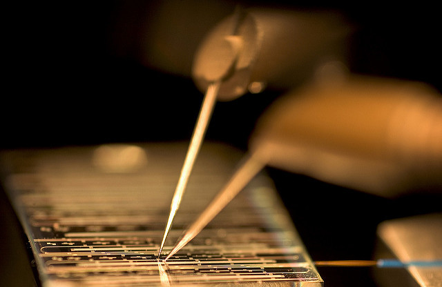 Intel chip. Фото: arodlob, Flickr