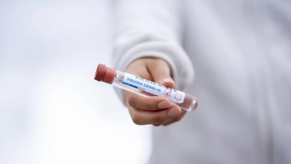 В Беларуси уже 63,5 тысячи подтверждённых случаев коронавируса
