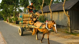 «Баюся, што звольняць. Перапынкі толькі на сон і ежу». Гэтыя айцішнікі працуюць па 10+ гадзін. Ну і як ім?