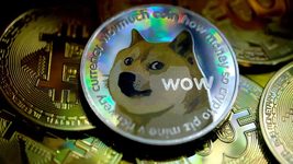 Coinbase бесплатно раздаёт Dogecoin на $1,2 млн