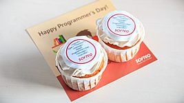 День программиста в Softeq Flash Solutions День программиста в Softeq Flash Solutions