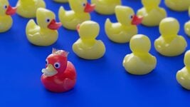 «Нельзя стать востребованным без классных коммуникативных скиллов». Могут ли курсы по soft skills  испортить вам карьеру