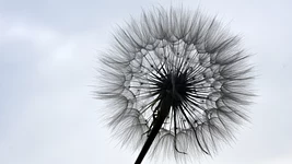 Anthropic раздает 13 бесплатных курсов по AI. И это не только про введение в Claude