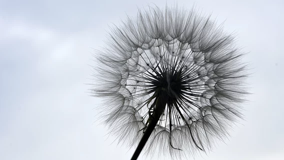 Anthropic раздает 13 бесплатных курсов по AI. И это не только про введение в Claude