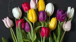 «Наташа, я задонатил организации, которая поддерживает женщин»». Как (не) испортить 8 марта в офисе