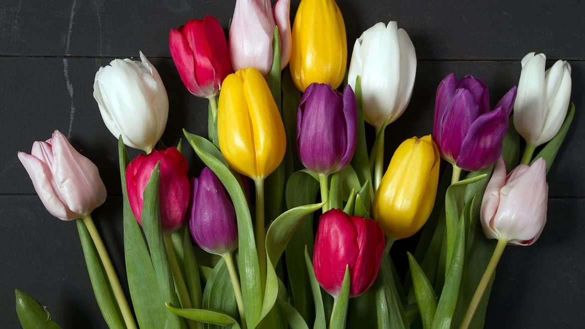 «Наташа я&nbsp;задонатил организации которая поддерживает женщин»». Как (не) испортить 8 марта в офисе