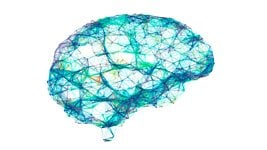 Учёные преобразуют мозговые импульсы в речь с помощью ИИ 