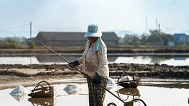 «Так себе элита». Чувствуют ли себя айтишницы «солью земли беларусской» — как айтишники