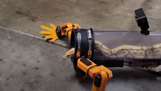 Инженер создал четвероногий экзоскелет для змеи — теперь она может ходить