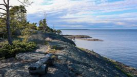 Цифровой детокс: у берегов Финляндии появился «первый в мире остров без смартфонов»