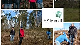 Чистый воздух и 500 деревьев от IHS Markit 