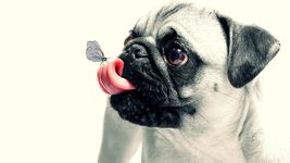 Между IT и бизнесом: как научиться говорить с CEO на одном языке Между IT и бизнесом: как научиться говорить с CEO на одном языке