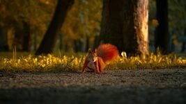 Патрэбныя джуны, шмат стажыровак. Каго шукае буйны аўтсорс у Беларусі восенню Патрэбныя джуны, шмат стажыровак. Каго шукае буйны аўтсорс у Беларусі восенню