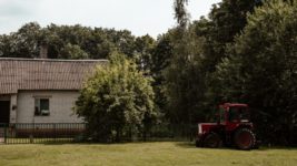 В Беларуси хотят построить деревню для айтишников