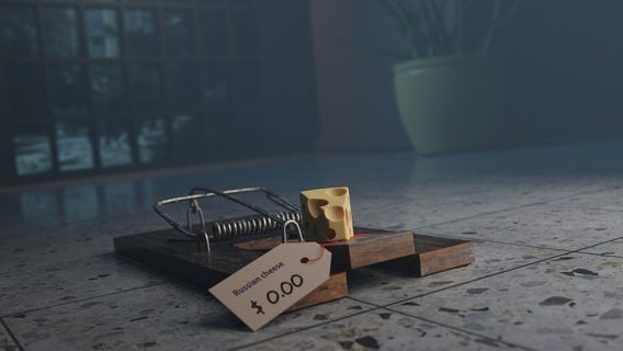 Не подарок, а ловушка. Почему не стоит запускать пет-проект на бесплатном хостинге