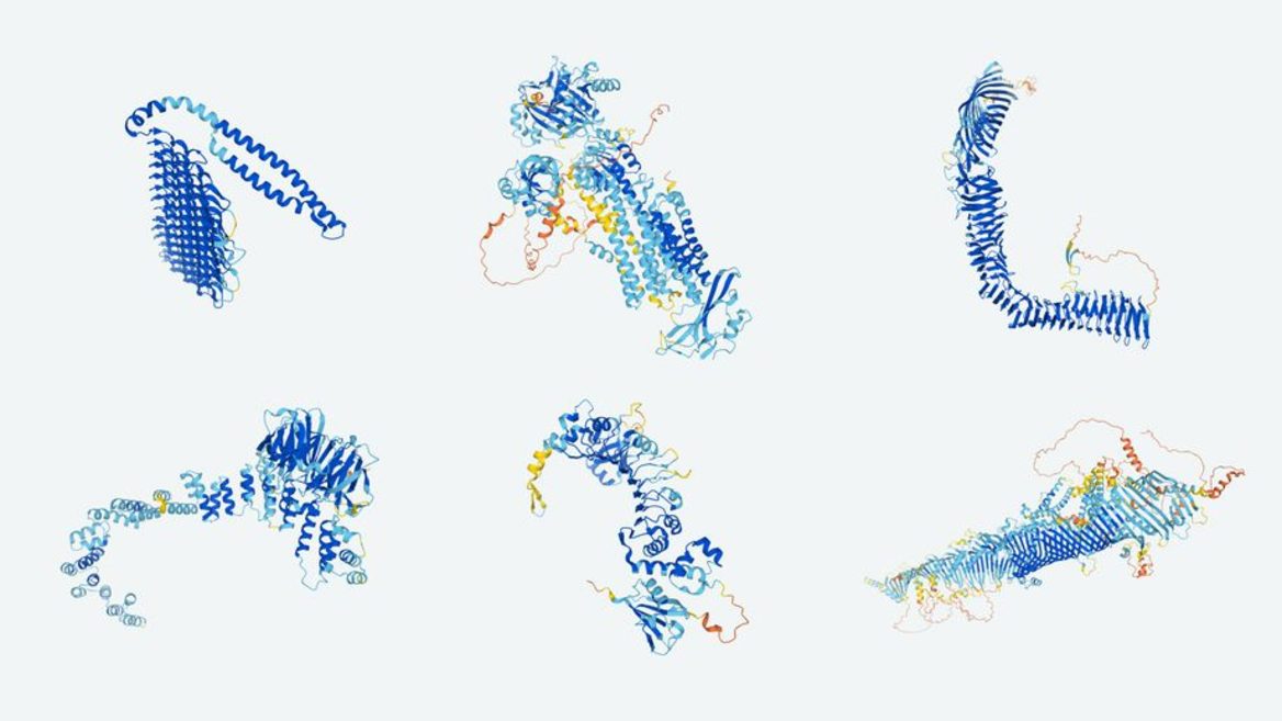 DeepMind с помощью ИИ создаст коллекцию всех известных белков. Ученые получат доступ к архиву бесплатно