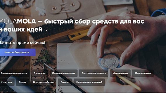 На какие ИТ-проекты белорусы ищут деньги на новой фандрайзинговой платформе MolaMola 
