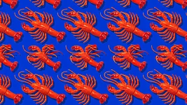 Anthropic закрыла Claude для OpenClaw — доступ для агентов стал платным