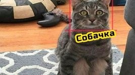 Почему ИИ так часто ошибается? Похоже, ученые нашли ответ Почему ИИ так часто ошибается? Похоже, ученые нашли ответ