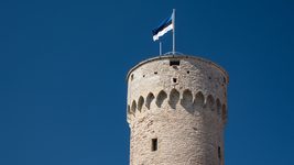 Эстония всё-таки будет выдавать визы и ВНЖ беларуским айтишникам, но есть вопросы