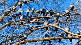 5 воркшопов по фасилитации — чтобы после следующего митинга не хотелось сразу уволиться