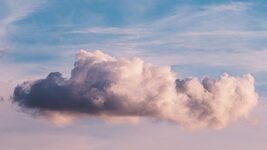 Хедж-фонд сооснователя Paypal и Palantir сбросил все акции Nvidia. Так же сделал главный инвестхолдинг Японии