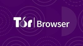 Роскомнадзор потребовал удалить из Google Play приложение Tor Browser