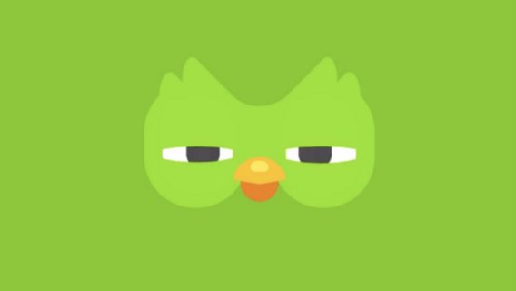 Данные 2,6 млн пользователей Duolingo выставили на продажу