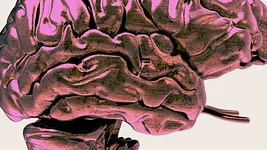 «Мы можем упереться в стену»: в общий ИИ вкладывают триллионы, но никто не знает, что это