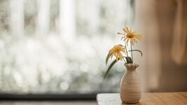 Вредные знания: чем опасны плохие курсы по soft skills, а какие действительно помогают в карьере