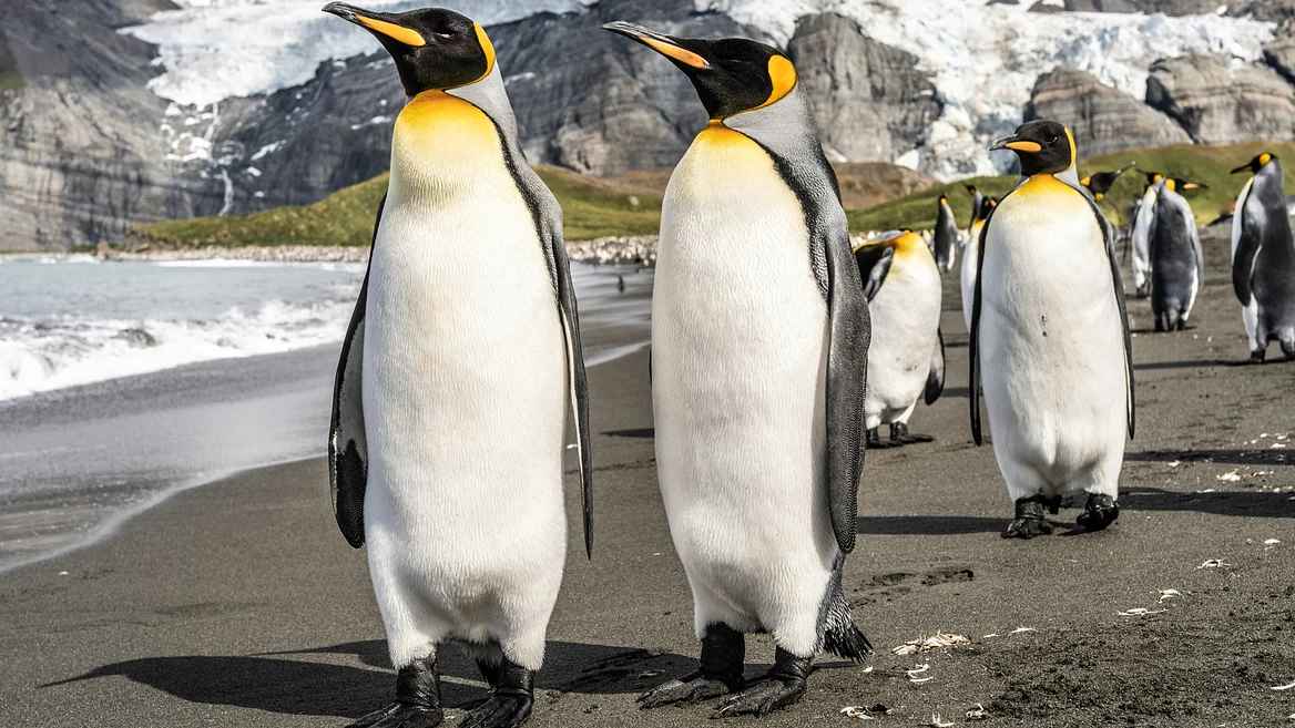 ИИ тормозит разработку Linux: новый релиз под вопросом
