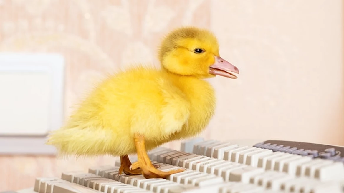 «Слишком много знаний — это плохо»: CEO ИИ-стартапа в первую очередь нанимает зумеров