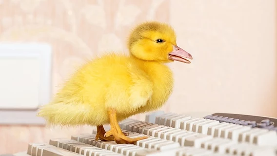 «Слишком много знаний — это плохо»: CEO ИИ-стартапа в первую очередь нанимает зумеров