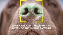 Бренд собачьего корма создал приложение для поиска собак по отпечатку носа