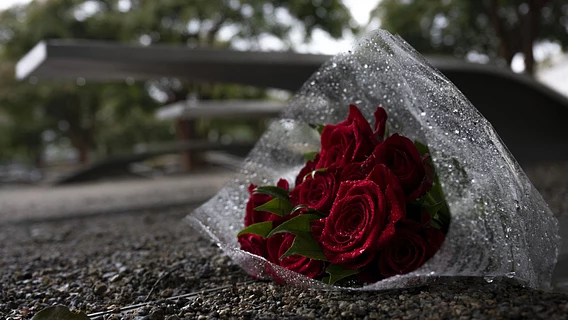 Вместо секса — питчи и код: фаундеры Кремниевой долины отказываются от личной жизни