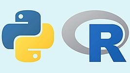 Разработчики R и Python объединят усилия для повышения совместимости языков 