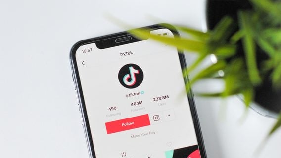 В Румынии отменили президентские выборы, замешан TikTok