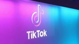 TikTok удалил 113 млн роликов за последние три месяца