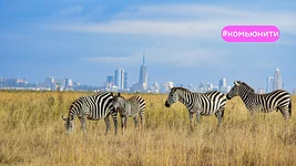 «Мир — не только Штаты». Беларус рассказывает, как делает приложение для беременных в Кении