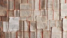370 кніг за паўтара года — і ты мільянер: пісьменніца паставіла напісанне ШІ-раманаў на паток і адказала хейтарам