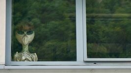 «Чем больше тревоги (например, про войну), тем враждебнее общество к чужакам». Почему нас ксенофобят и как с этим жить