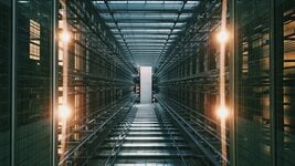Рост эканомікі ЗША ў 2025 годзе амаль цалкам забяспечыў ШІ і дата-цэнтры