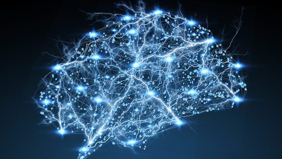 Ученые визуализируют мысли человека по активности мозга