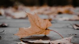 Беларусь уже который год подряд теряет по десять позиций в рейтинге Coursera Беларусь уже который год подряд теряет по десять позиций в рейтинге Coursera