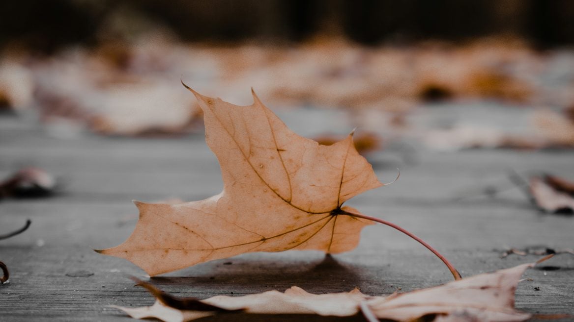 Беларусь уже который год подряд теряет по десять позиций в рейтинге Coursera