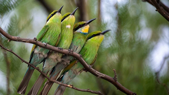 «На покупку нескольких квартир хватит». За четыре года сделал 4Х на битке (но ипотеку в Польше не дали)
