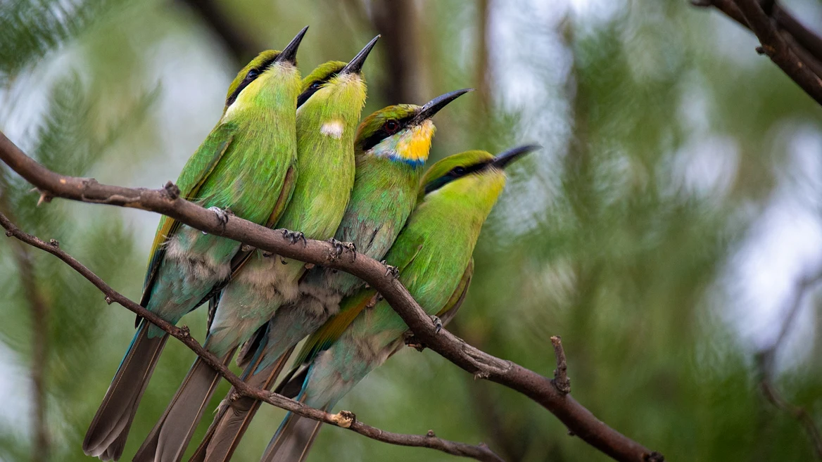 «На&nbsp;покупку нескольких квартир хватит». За&nbsp;четыре года сделал 4Х на битке (но ипотеку в Польше не дали)