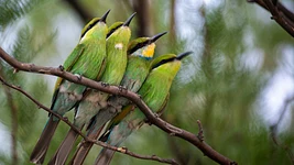 «На покупку нескольких квартир хватит». За четыре года сделал 4Х на битке (но ипотеку в Польше не дали)