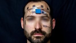 Ученые создали умную татуировку, которая предсказывает выгорание Ученые создали умную татуировку, которая предсказывает выгорание