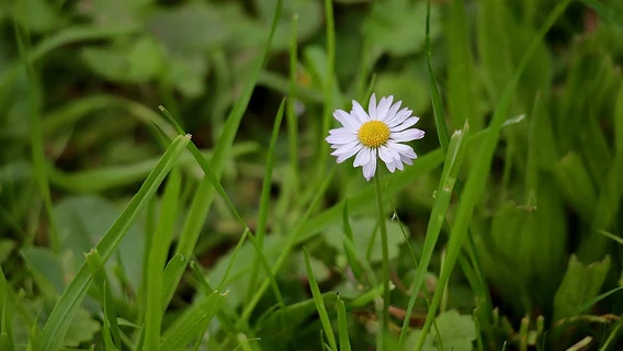 Не переучиваться заново, а догнать реальность: несколько IT-курсов, чтобы освежить знания